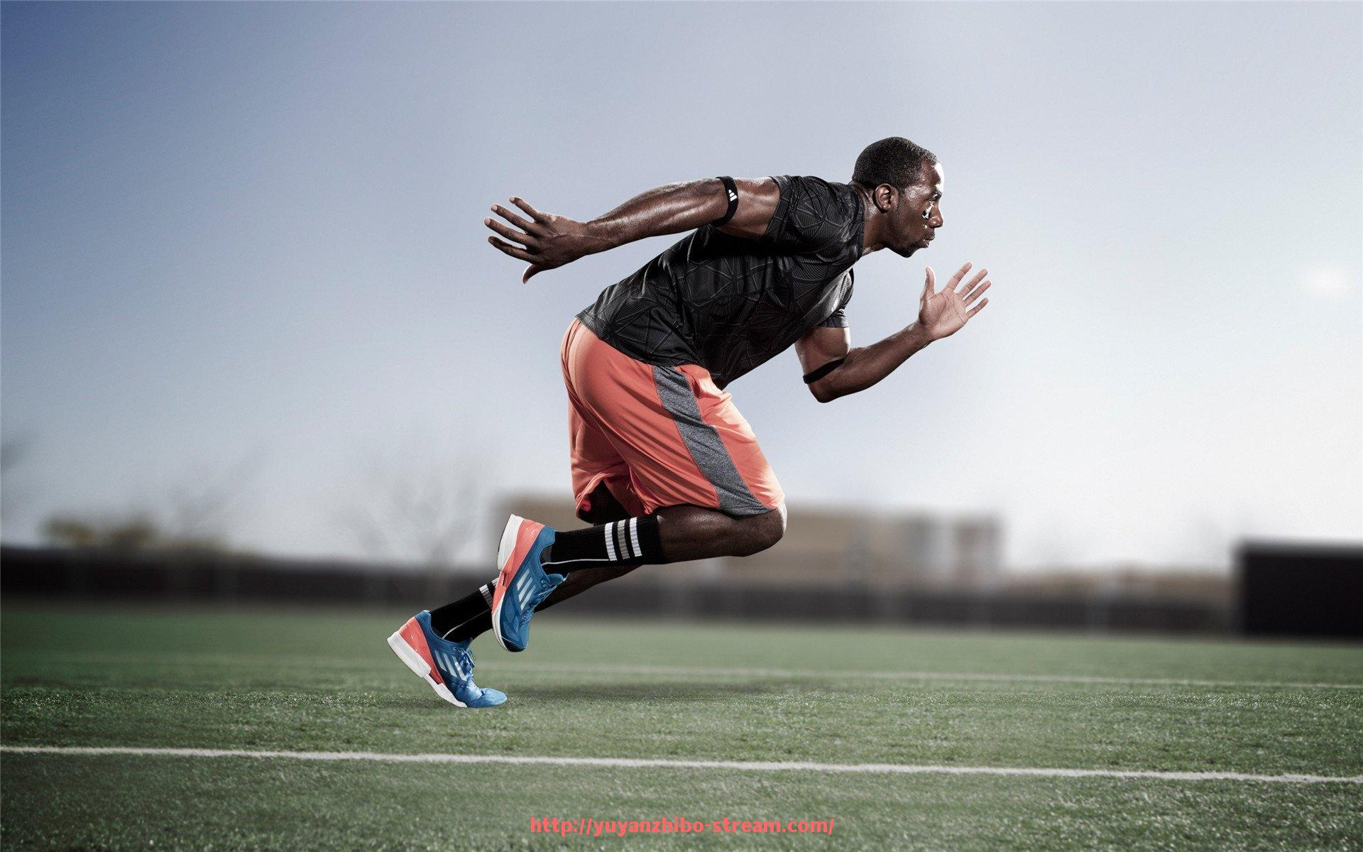 雨燕直播-2010年欧冠高清录像资源与战术点评