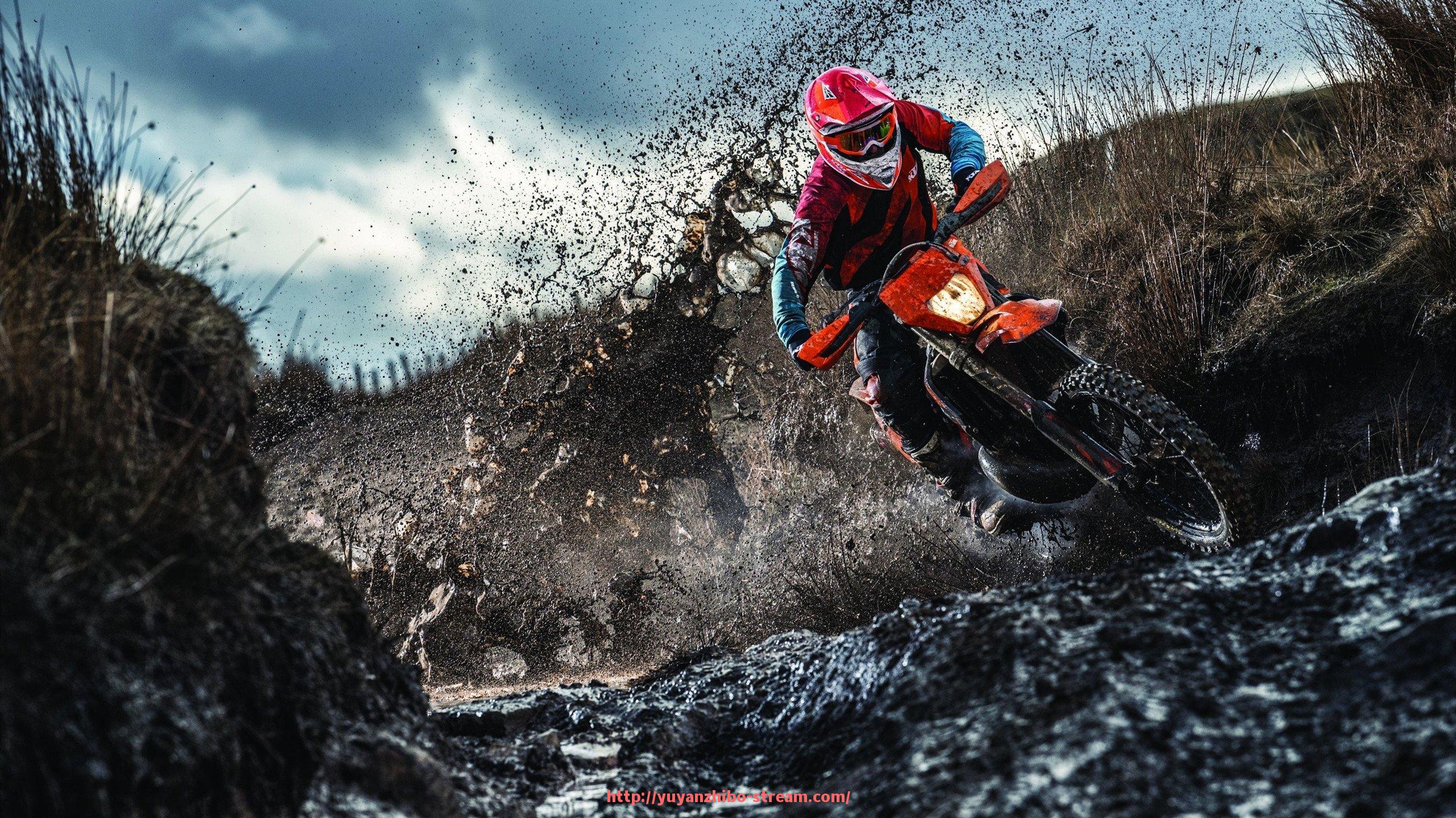 雨燕直播-世俱杯球场示意图详解观众入座动线与视角