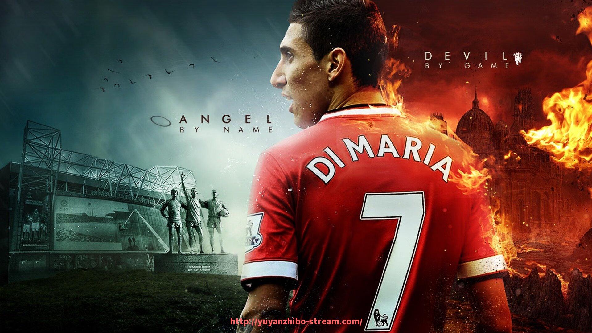 雨燕直播-成都健身俱乐部常用健身器材配置与品牌选择